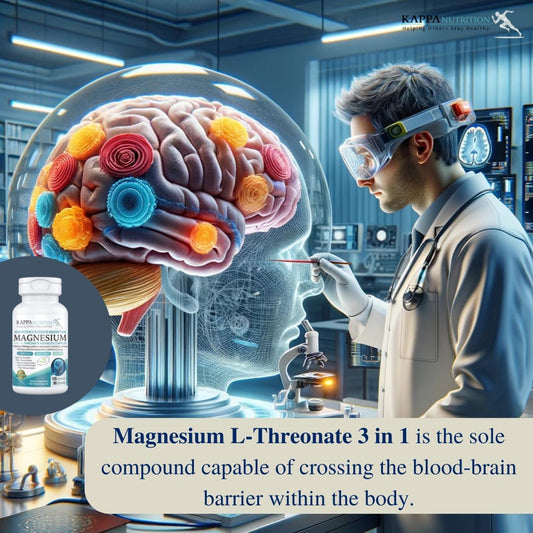 (120 Capsules), 2,253mg Per Serving, Providing 420mg Elemental Magnesium Bisglycinate Chelate, from Kappa Nutrition