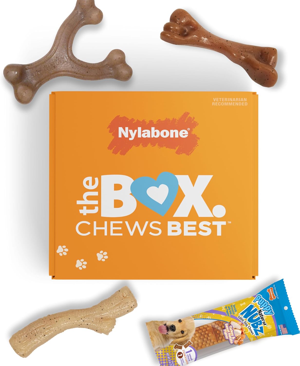 Nylabone Dog Toy Gift Box, Includes 3 Strong Chew Toys And 1 Dog Treat, Chew Toys For Puppies, Small/Regular (4 Count)