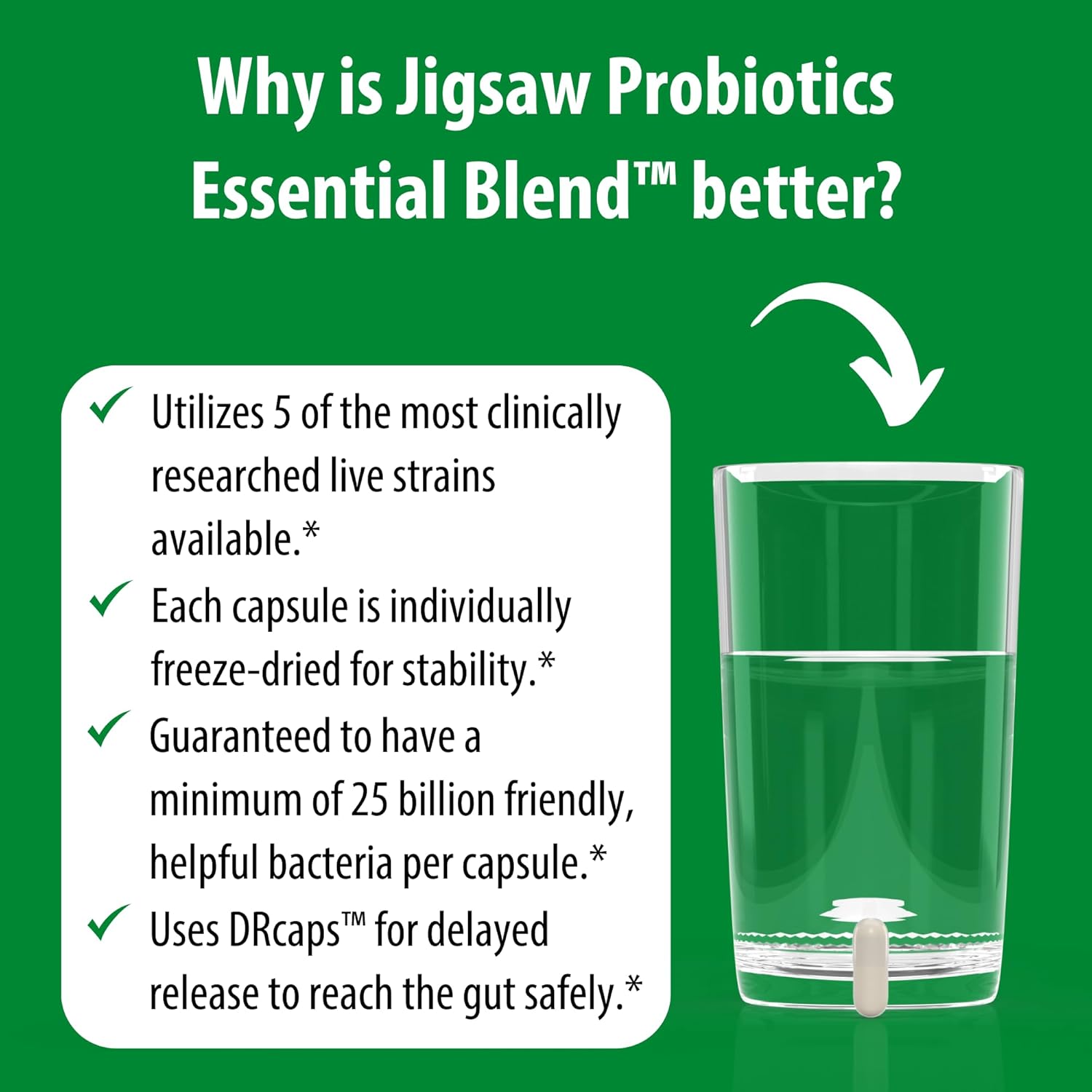Jigsaw Health Probiotics Essential Blend | 90 Capsules : Health & Household