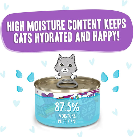 Weruva B.F.F. Omg - Best Feline Friend Oh My Gravy!, Best Day Eva! With Beef & Salmon In Gravy Cat Food, 2.8Oz Can (Pack Of 12)