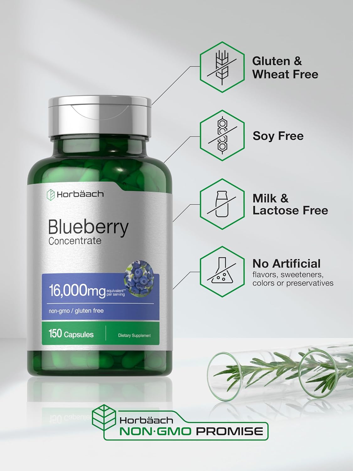 Horbäach Blueberry Extract Supplement | 150 Capsules | Blueberry Concentrate | Non-GMO, Gluten Free : Health & Household