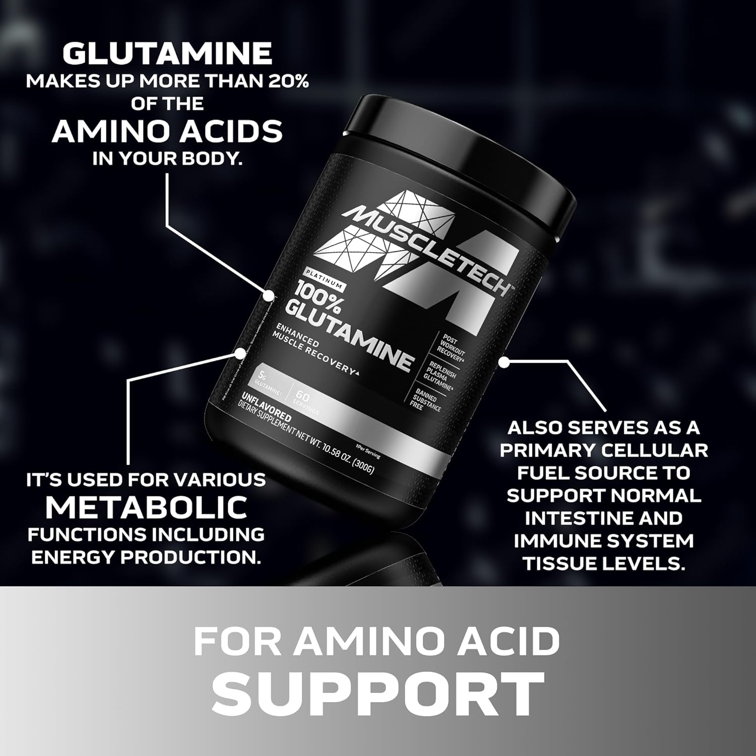 Muscletech 100% L-Glutamine Powder For Enhanced Muscle Recovery - Pure L Glutamine Muscle Growth Builder & Energy Boosting Nutritional Supplement For Men & Women - Unflavored, 60 Servings