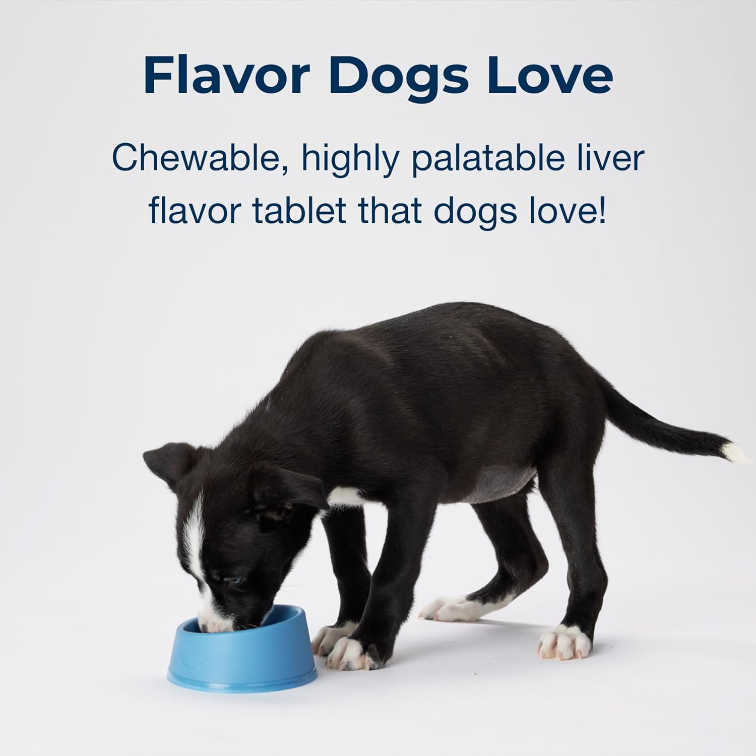 Pet-Ag Sure Grow 100 - Promotes Optimal Bone Development in Puppies Eight Weeks and Older - With Calcium, Phosphorus, and Vitamins A & D - 100 Chewable Tablets : Pet Bone And Joint Supplements : Pet Supplies