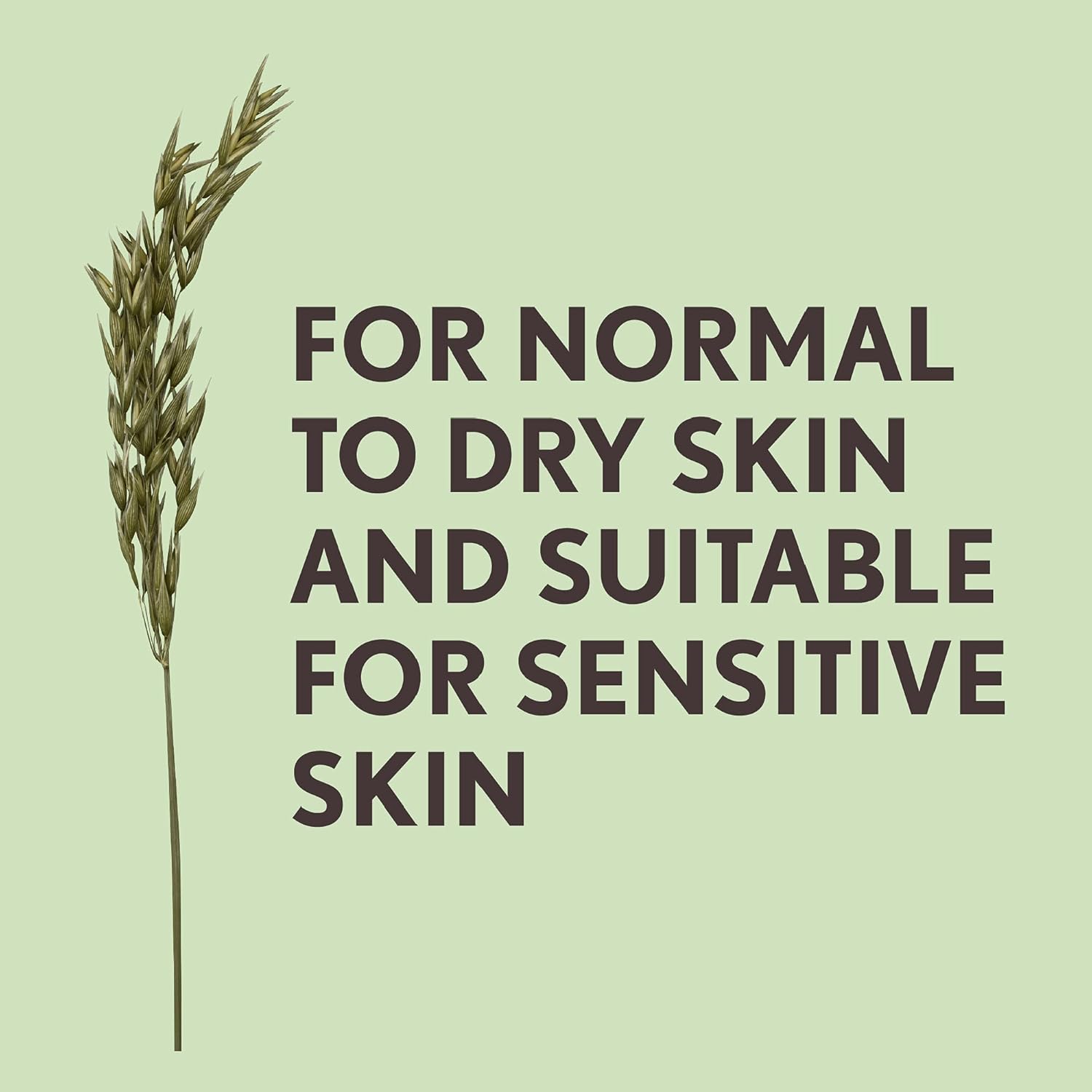 Aveeno Daily Moisturising Body Cleansing Oil (1x 300ml), Nourishing Shower Oil for Normal to Dry Skin, Soap-Free, Lightly Scented & Vegan* with Soothing Prebiotic Triple Oat Complex and Softening Oils : Amazon.co.uk: Beauty