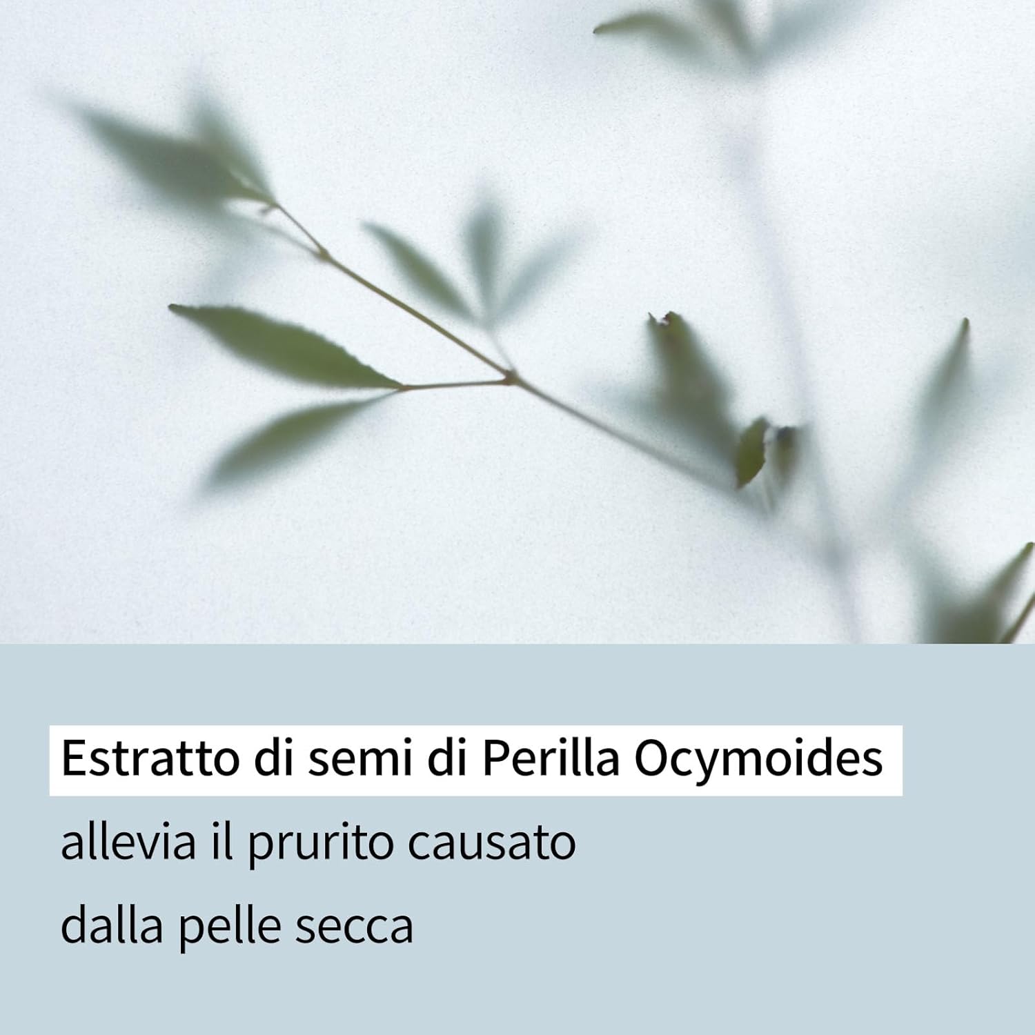 Illiyoon Ato Lotion 350Ml With Ato Cream 200Ml & Top To Toe Wash : Beauty & Personal Care