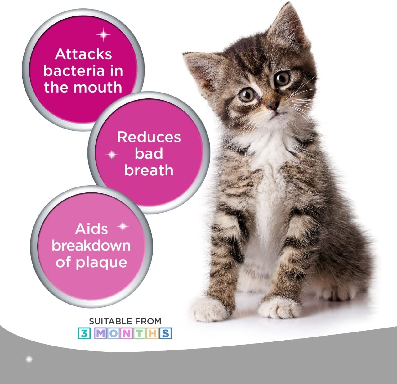 LOGIC Oral Hygiene Gel for Dogs & Cats, Small : Amazon.co.uk: Pet Supplies