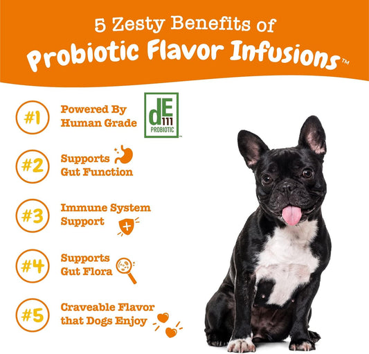 Zesty Paws Probiotic Flavor Infusions For Dogs – 500 Million Cfu Of Probiotics For Gut Health & Flora – Supports Immune System - Chicken Flavor