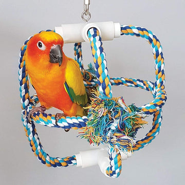 Parrot Orbit - Cotton Climbing Rope Swing