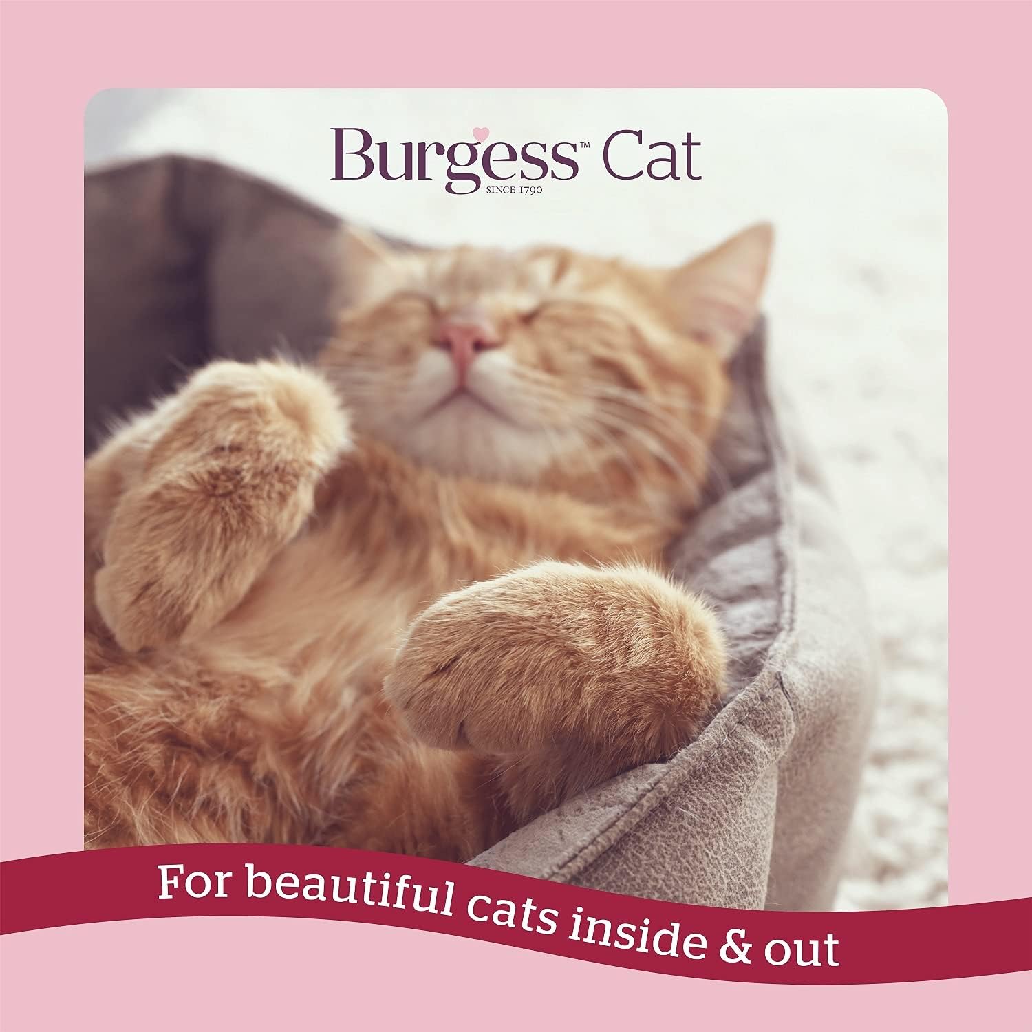 Burgess Dry Cat Food for Senior Cats with Turkey and Cranberry, 1.4 kg :Pet Supplies