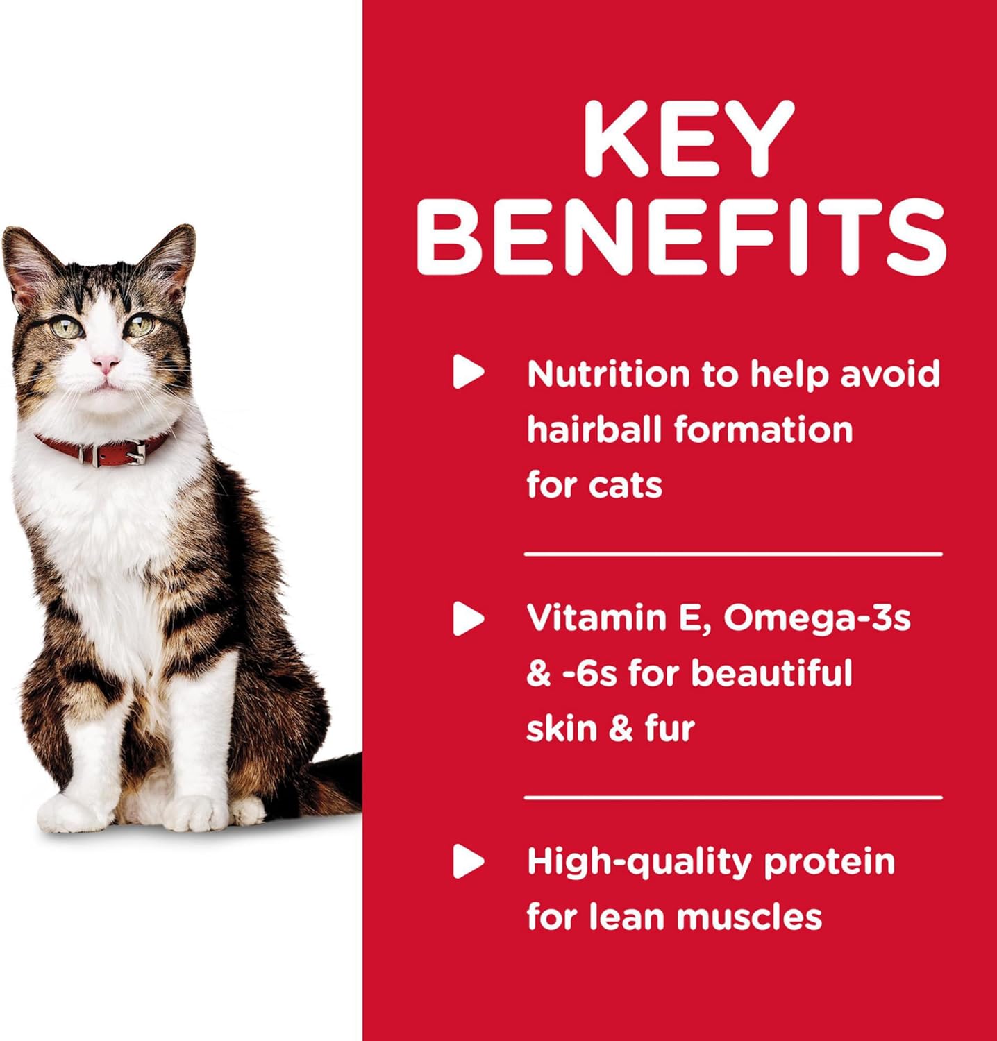 Hill's Science Diet Hairball Control, Adult 1-6, Hairball Control Support, Wet Cat Food, Chicken Minced, 5.5 oz Can, Case of 24