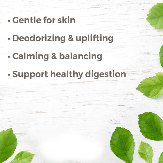 Plant Therapy Petitgrain Essential Oil 10 Ml (1/3 Oz) 100% Pure, Undiluted, Therapeutic Grade