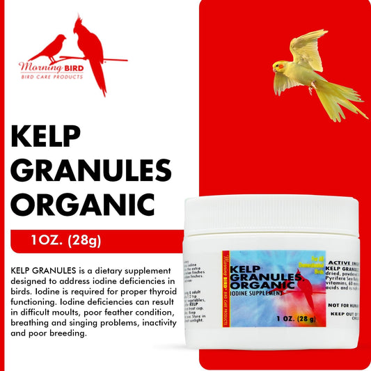 Morning Bird Kelp Granules 3 Oz – Iodine Supplement For Birds – Supports Feather Growth, Molting & Metabolism – Rich In Amino Acids, Trace Minerals & Natural Vitamins – Clean Nutrition For All Birds
