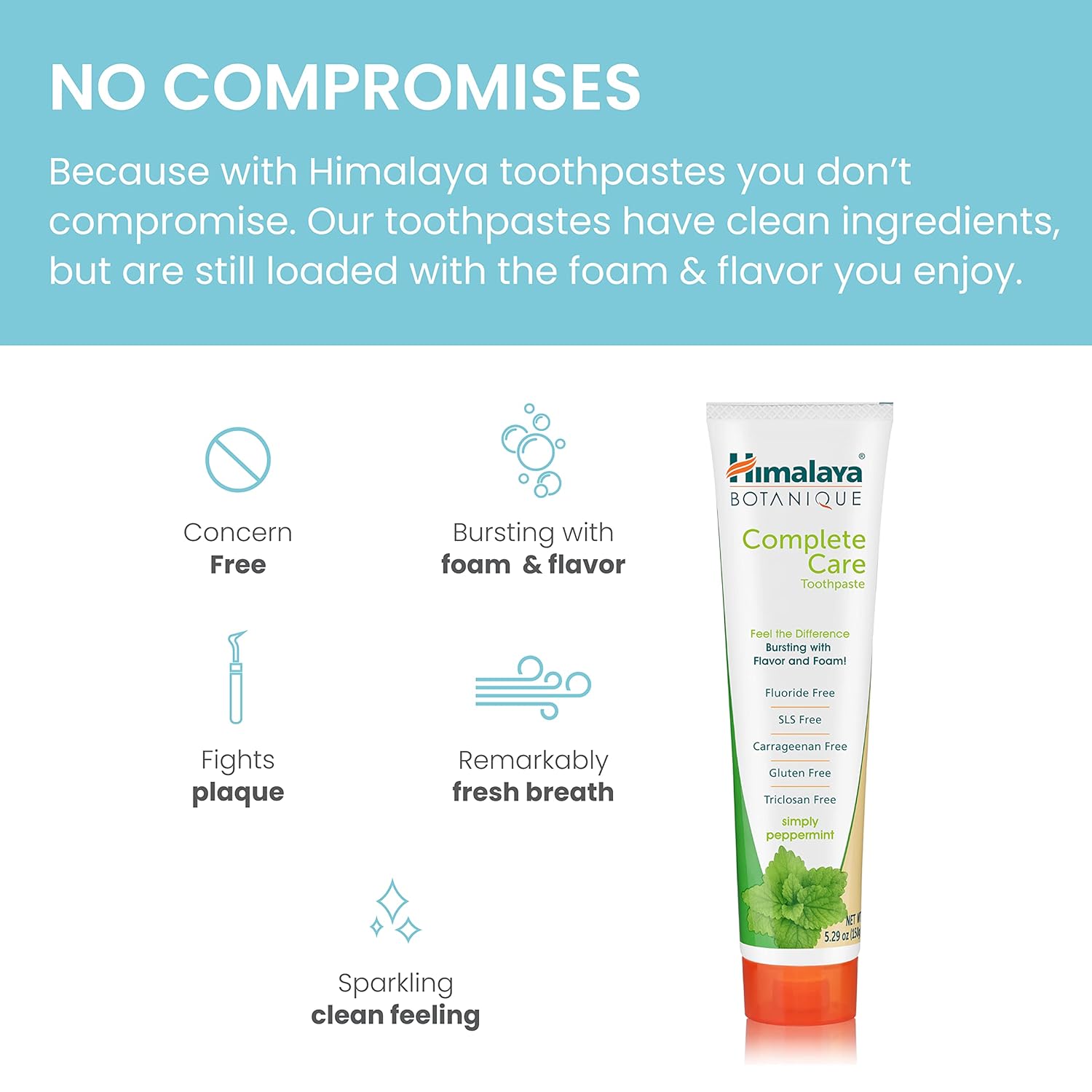 Himalaya Botanique Complete Care Toothpaste, Herbal, Peppermint Flavor, Fights Plaque, Freshens Breath, Fluoride Free, No Artificial Flavors, SLS Free, Cruelty Free, Foaming 5.29 Oz, 2 Pack… : Health & Household