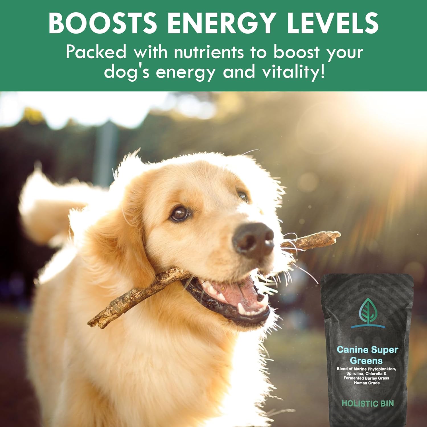 Holistic Bin Canine Super Greens - Plant-Based Nutritional Dog Multivitamin - Essential Vitamins And Supplement For Dogs - Supports Skin, Coat, Bone Health, & Digestive Health For Pet Health (50G) : Pet Supplies
