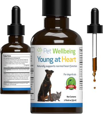 Pet Wellbeing Young At Heart For Cats - Vet-Formulated - Supports Cardiovascular System | Heart & Circulatory Health - Natural Herbal Supplement 2 Oz (59 Ml)