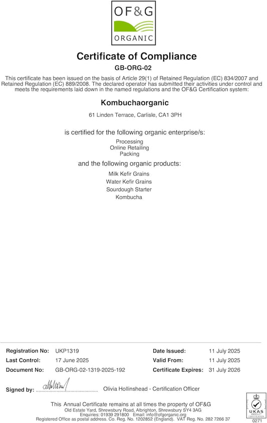 Kombuchaorganic Large (5 Litre) Certified Organic Kombucha Scoby - Live Culture Quality Assured By Ukas Lab Outstanding And Unique Quality Cultures