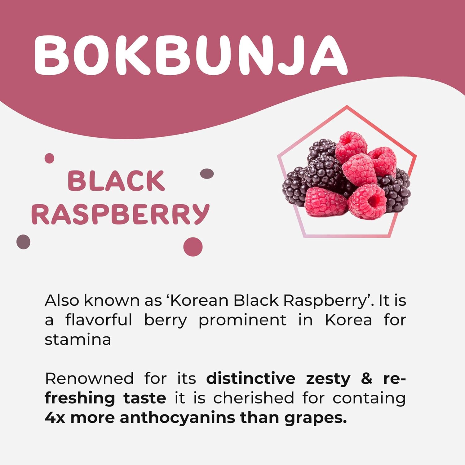 Dalamhari Kombucha Powder | Black Raspberry Bokbunja 12T | Kombucha Drink Probiotic Soda Urban Remedy Kombucha Synergy Scoby Kombucha Starter Kit Adaptogenic Drink Health Ade Kombucha Kambucha Prebiotic Soda Sugar Free