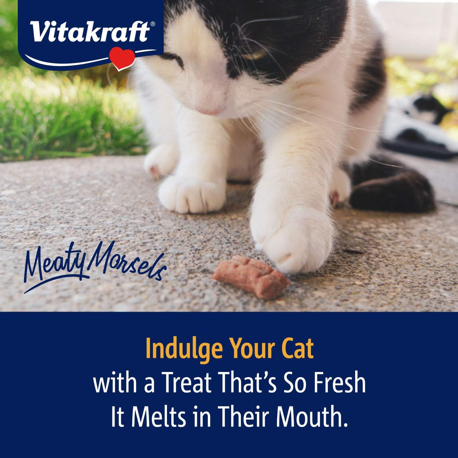 Vitakraft Meaty Morsels Soft Indulgent Cat Treats - Double Layer Extra Meaty - Can Use as Cat Pill Pocket (Chicken with Pumpkin, 4-Pack) : Pet Supplies