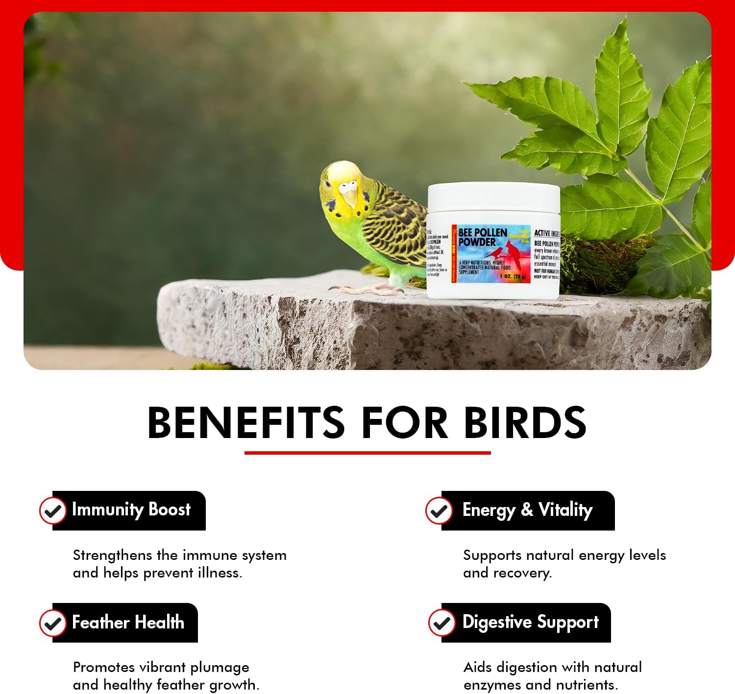 Morning Bird Bee Pollen Powder For Birds 3 Oz – Complete Nutrition With Protein, Amino Acids & Immune Support – Bird Vitamin & Mineral Supplement For Daily Health & Wellness : Pet Supplies