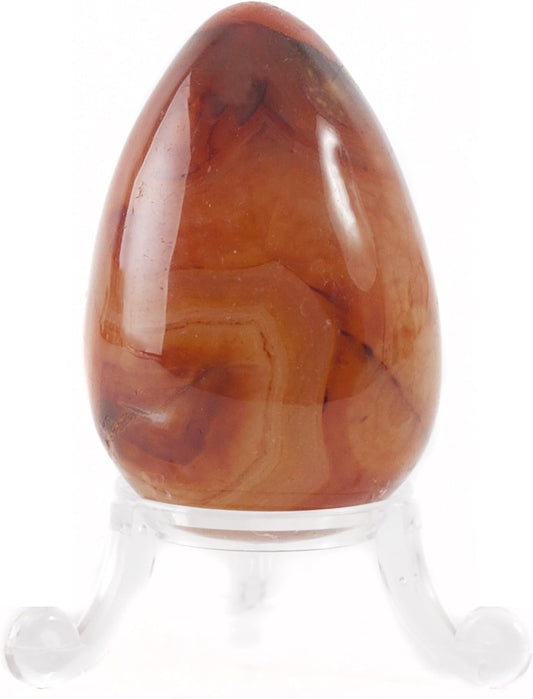 Carnelian Crystal Egg ~48mm : CrystalAge: Amazon.co.uk: Health & Personal Care