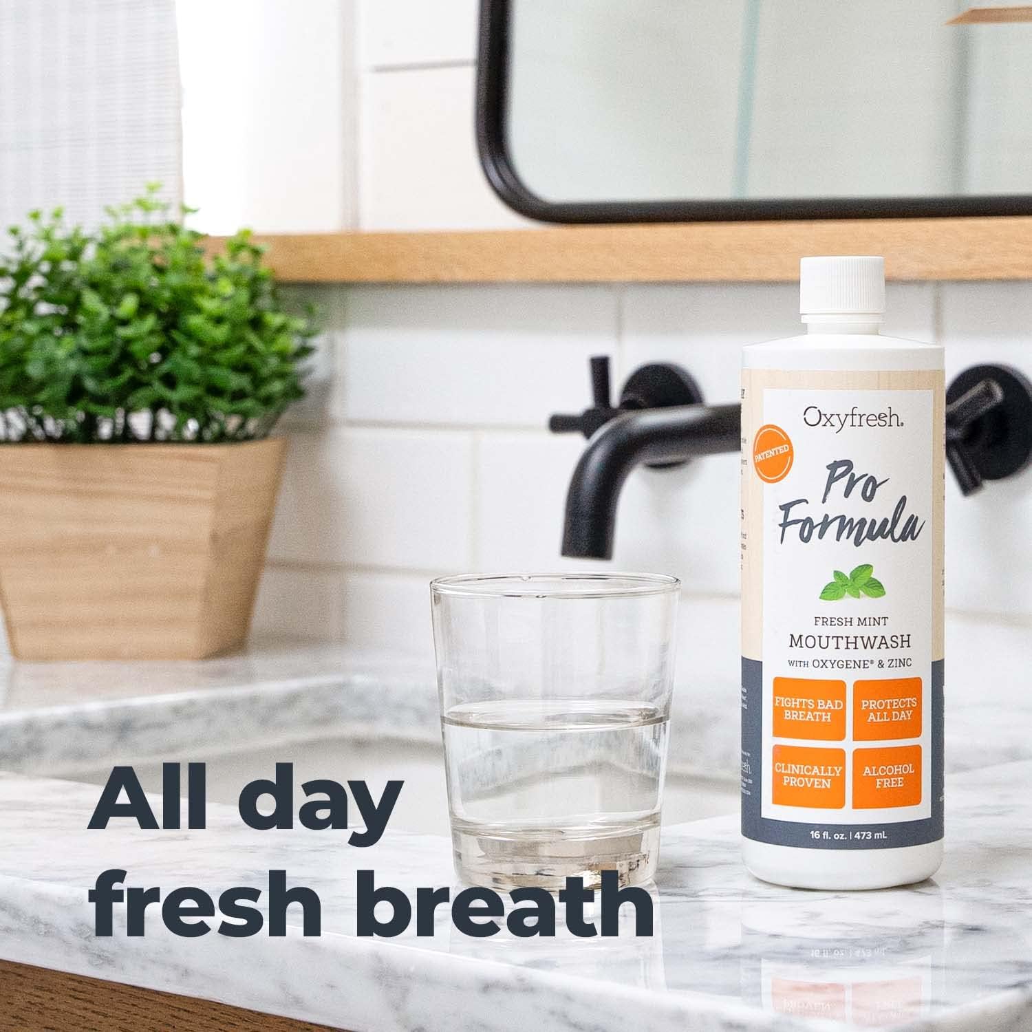 Oxyfresh Pro Formula Fresh Mint Mouthwash – Patented Zinc Mouthwash for Fresh Breath & Healthy Gums | Dye, Fluoride & Alcohol Free Mouthwash (1 Gal Bottle) : Health & Household