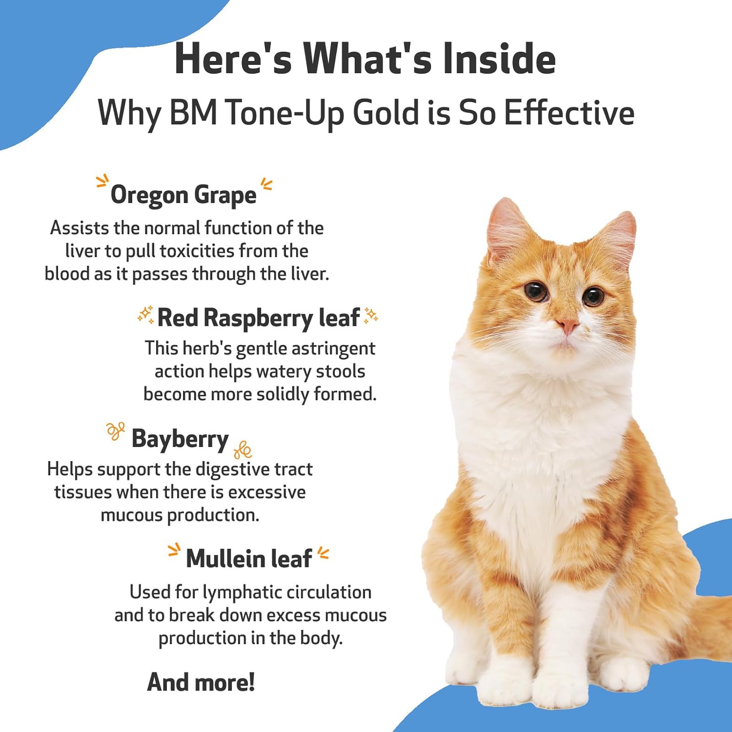 Pet Wellbeing BM Tone-Up Gold for Cats - Vet-Formulated - Diarrhea & Loose or Runny Stools - Natural Herbal Supplement 2 oz (59 ml) : Pet Supplies