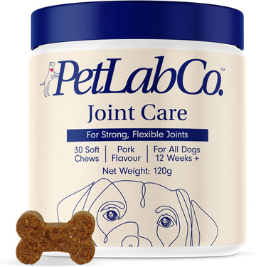 Petlab Co. Joint Care Chews – Daily Joint Supplements For Dogs - Help Promote An Active & Healthy Life - Rich In Glucosamine, Turmeric, Salmon Oil To Support Mobility & Healthy Joints