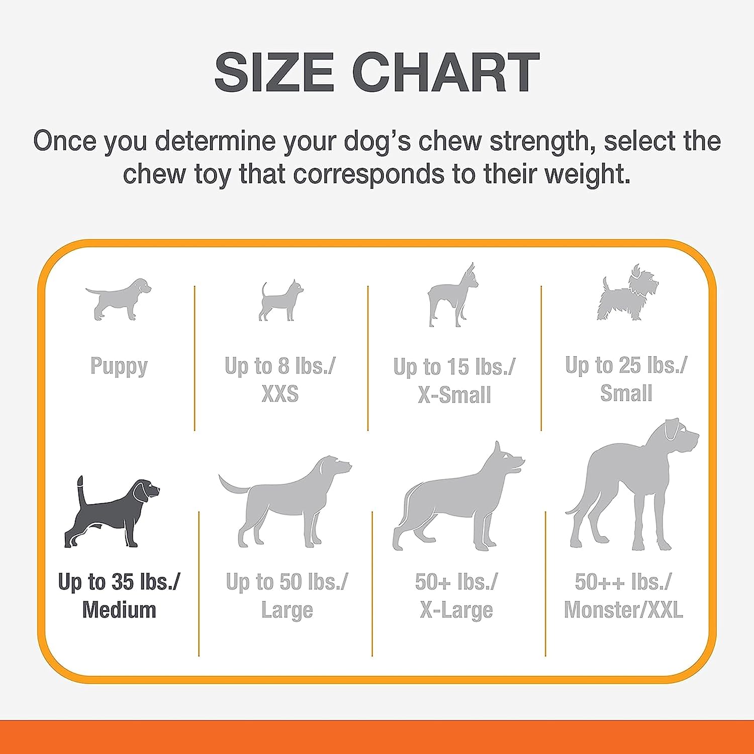 Pet Supplies : Nylabone Power Chew Souper Bone Pop-in Treat Toy with Treat Refills, Treat Dispensing Toys for Dogs, Durable Treat Pouch, Chicken Flavor, Medium/Wolf - Up to 35 lbs. (2 Count) : Amazon.com