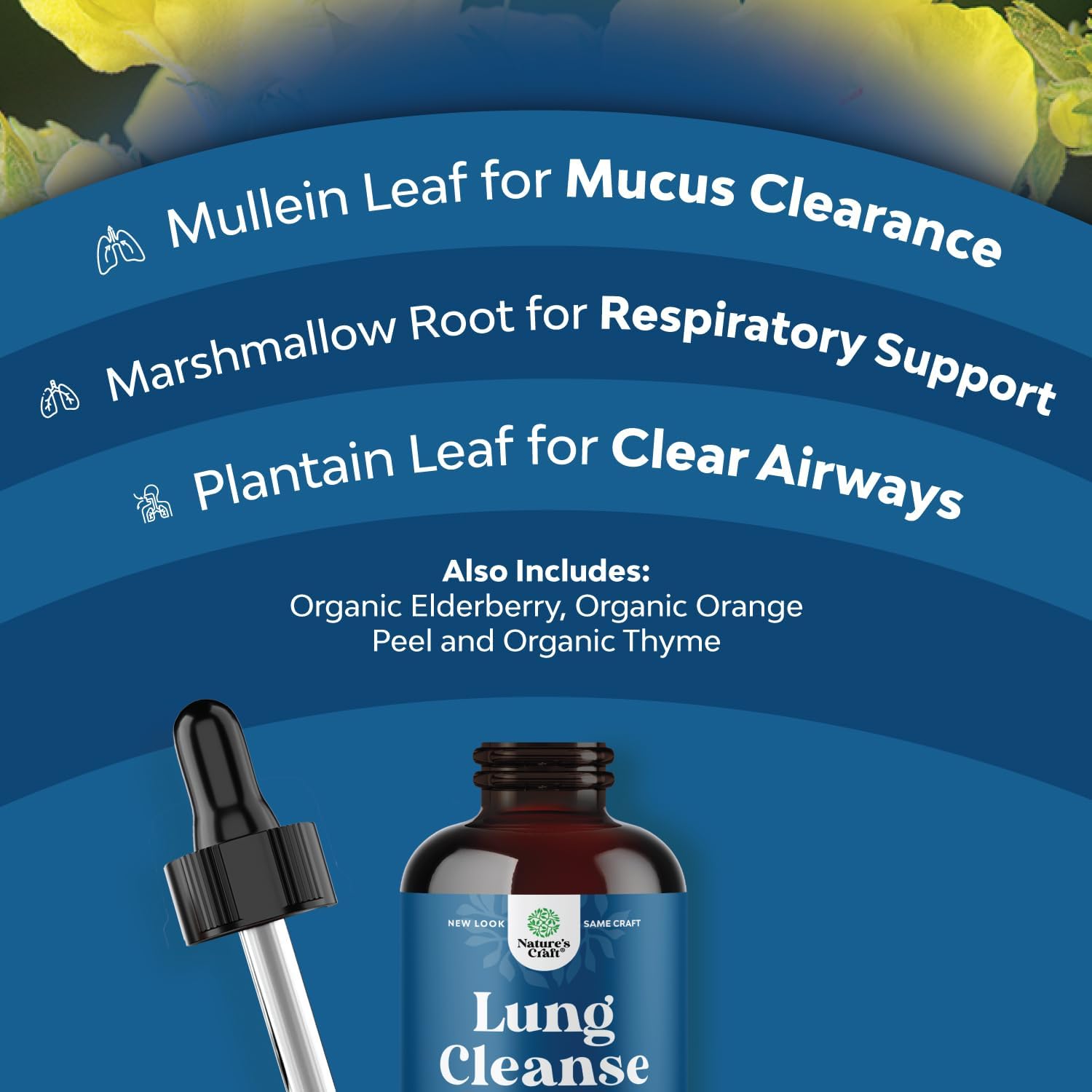 USDA Organic Mullein Leaf Drops - Herbal Lung Detox & Cleanse Marshmallow Root & Mullein Tincture Lung Support Supplement - Mullein Leaf Extract Respiratory Supplement for Sinus Immunity & Breathing : Health & Household