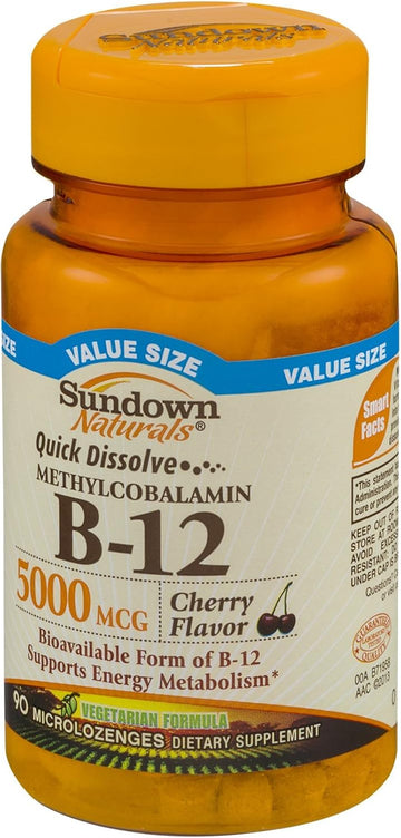 Sundown Naturals Dietary Supplement B-12 5000mcg - 90 CT