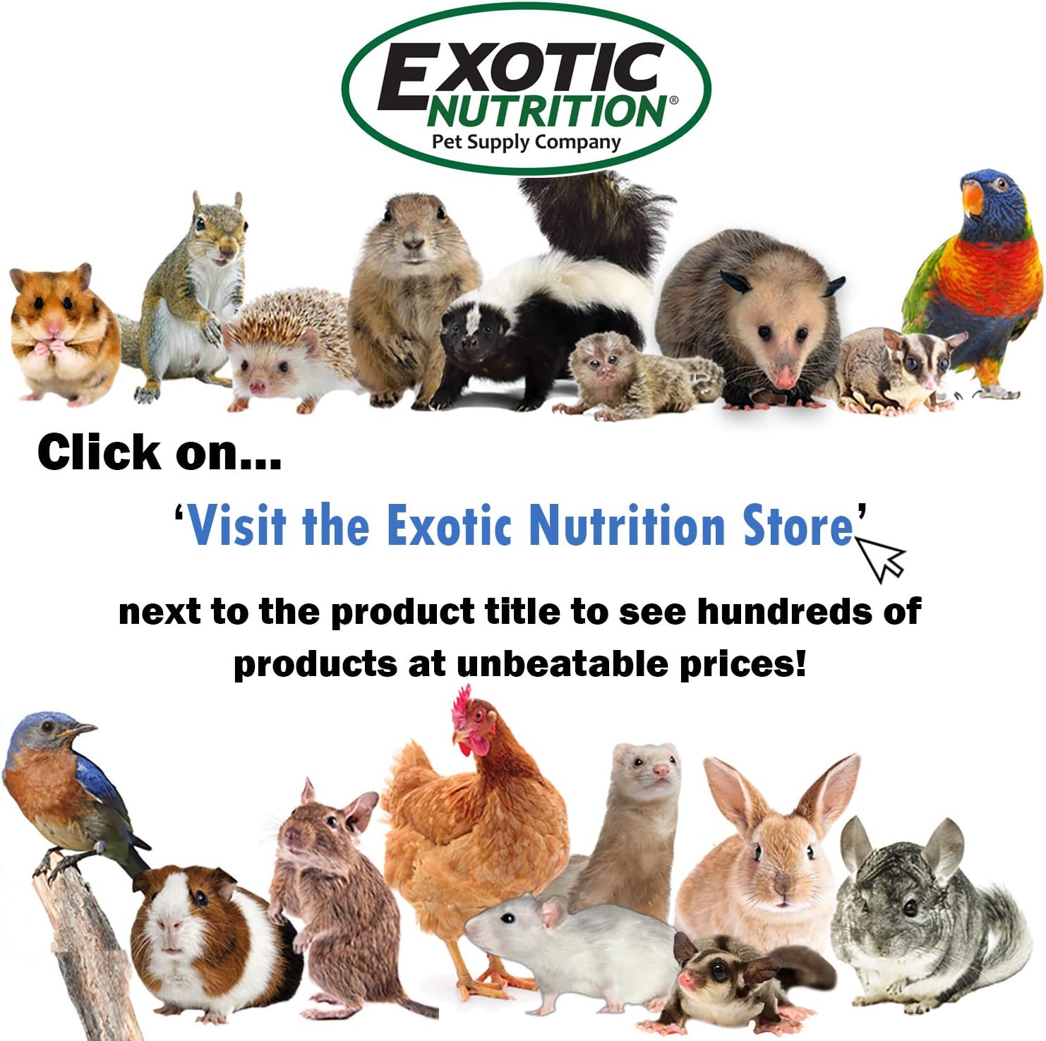 Exotic Nutrition Cozy Cube (Giraffe) - Hammock for Sugar Gliders, Hedgehogs, Chinchillas, Rats, Ferrets, Guinea Pigs, Rabbits, Hamsters, Squirrels, Parrots, Birds : Pet Supplies