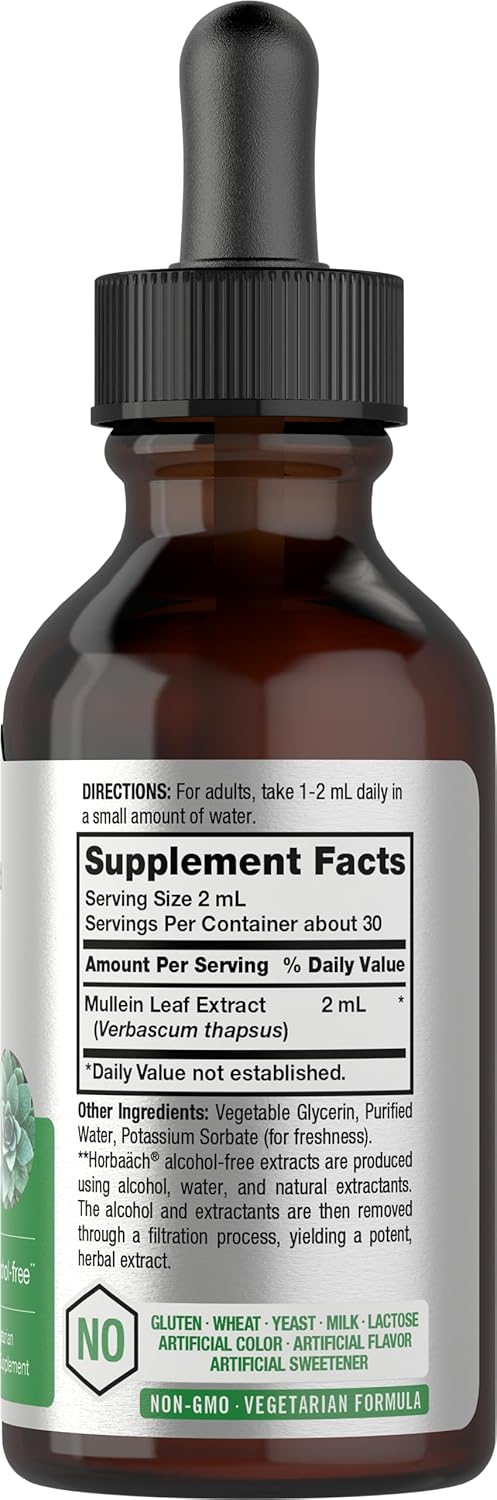 Horbäach Mullein Leaf Tincture Drops | 2 Fl Oz | Alcohol Free Liquid Extract | Vegetarian, Non-Gmo & Gluten Free Herbal Supplement