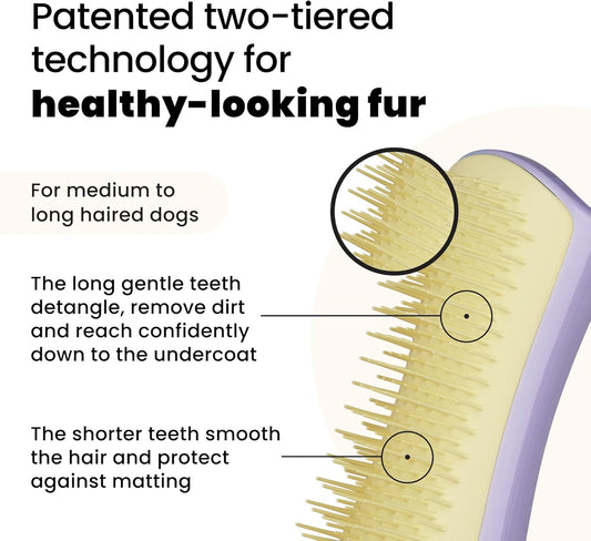 Tangle Teezer Small Pet Teezer Small Detangling Dog Grooming Brush - For Dry Hair Or Bath - The Perfect Detangling Brush For Dogs - Lilac & Yellow