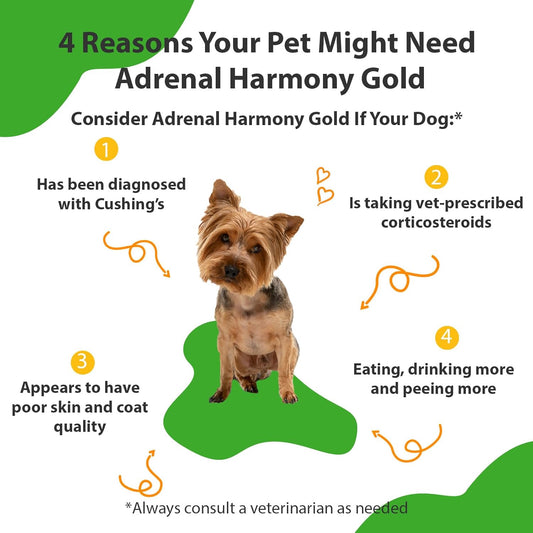 Pet Wellbeing Adrenal Harmony Gold - Dog Cushing'S, Cortisol Balance, Adrenal Support, Fluid Balance - Veterinarian-Formulated Herbal Supplement For Dogs 2 Oz (59 Ml)