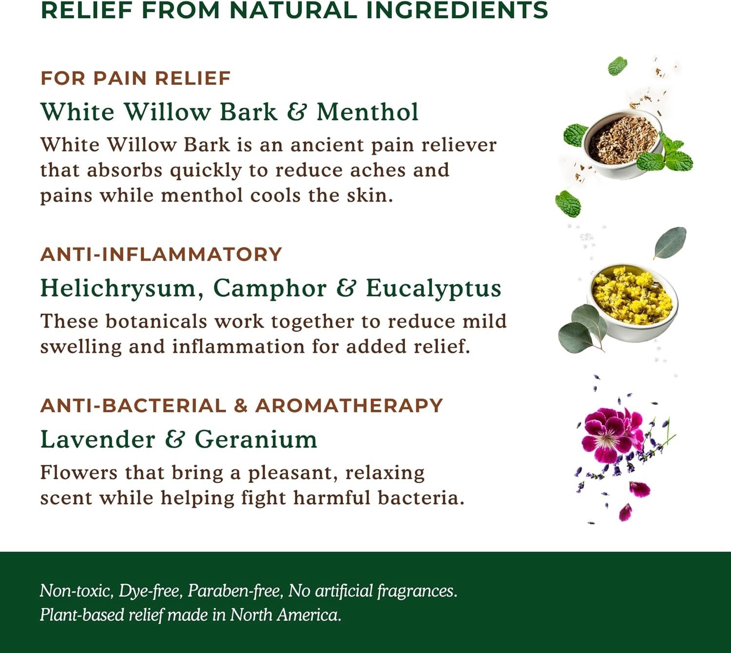 Nature's Willow Fast-Acting Willow Balm Natural Pain Relief Cream for Help Alleviating Sore Muscles & Joint Pain | Topical Willow Bark Cream with Essential Oils & Cooling Menthol | 1-Pack | 3.5 fl oz : Health & Household