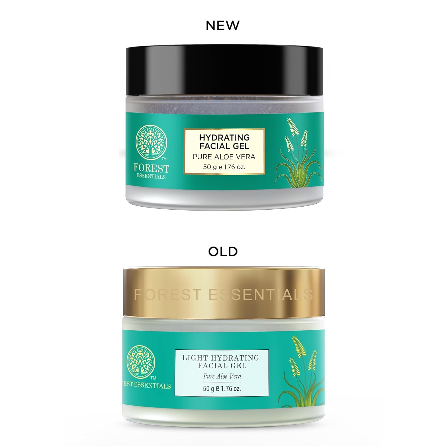Forest Essentials Light Hydrating Facial Gel - Pure Aloe Vera 50G : Beauty & Personal Care