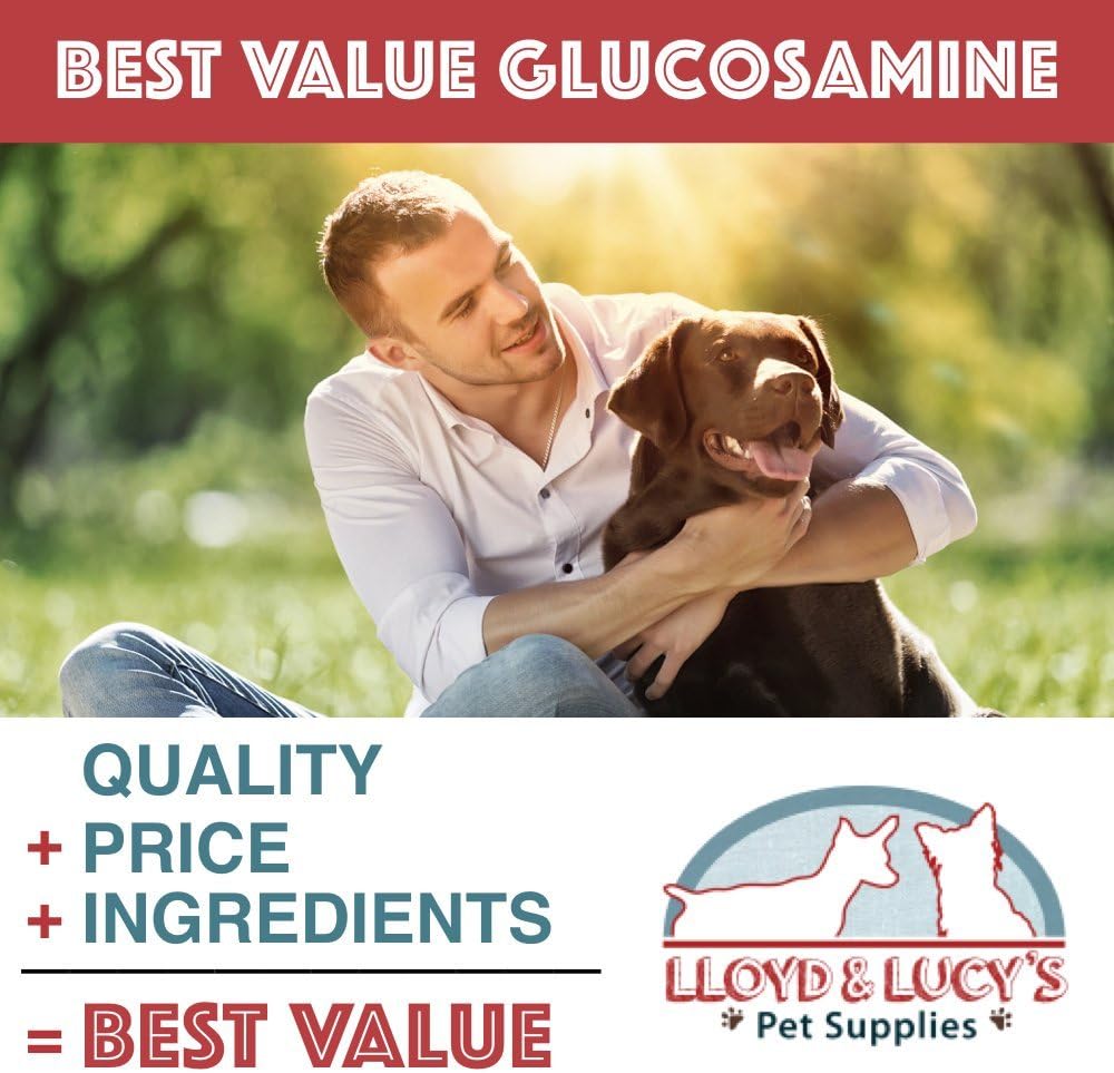 Lloyd & Lucy's Hip and Joint Supplement for Dogs - Chewable Multivitamin with Glucosamine, Chondroitin, MSM and Vitamin C - Healthy Liver Flavored Treat Pets Will Love - 180 Ct Tablets : Pet Supplies