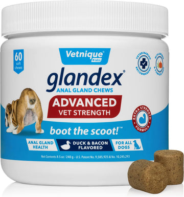 Glandex Anal Gland Soft Chew Treats with Pumpkin for Dogs Digestive Enzymes, Probiotics Fiber Supplement for Dogs Boot The Scoot (Advanced Strength Duck/Bacon Chews (Vegetarian), 60ct)