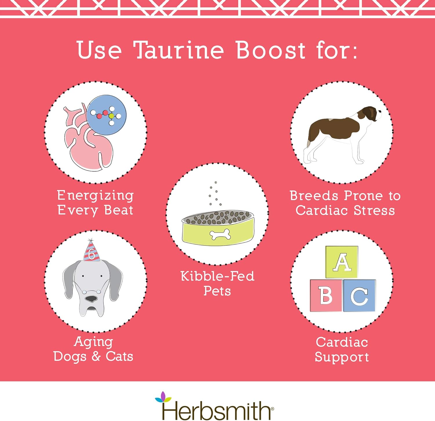 Herbsmith Taurine Boost - Cardiac And Heart Support For Dogs And Cats - Taurine Supplement For Dog And Cat Heart Health – With Coq10, Taurine And L-Carnitine For Dogs - 75G : Pet Supplies