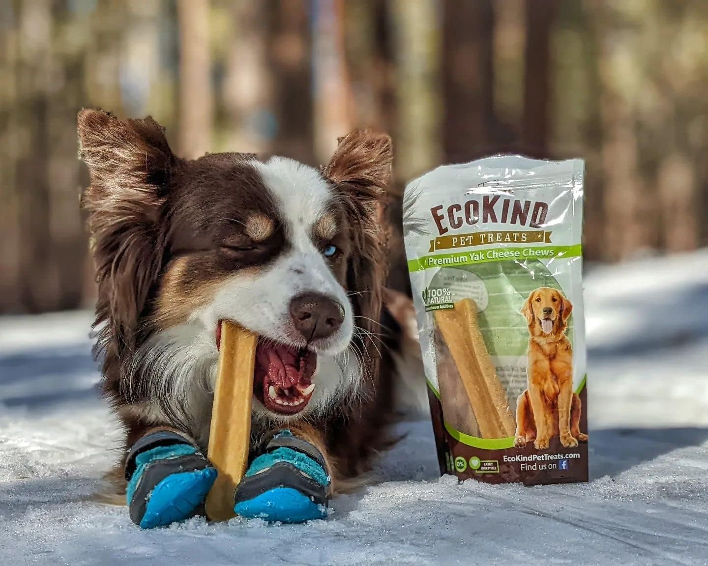 Ecokind Himalayan Dog Chews, Healthy Treats, Odorless , Rawhide Free, Long Lasting Bones for Aggressive Chewers, Indoors & Outdoor Use, Made in The Himalayans, Large (Pack of 4) : Pet Supplies