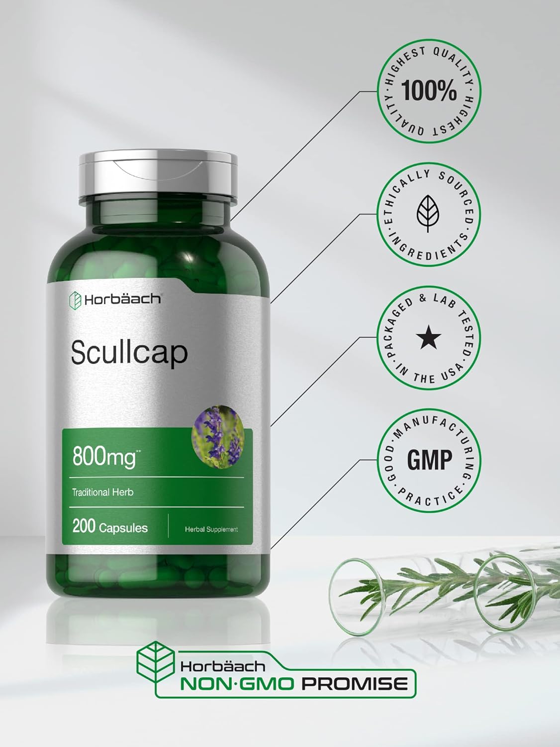 Horbäach Scullcap Capsules | 800 mg | 200 Count | Max Potency, Value Size | Non-GMO and Gluten Free Supplement | Scutellaria Baicalensis : Health & Household