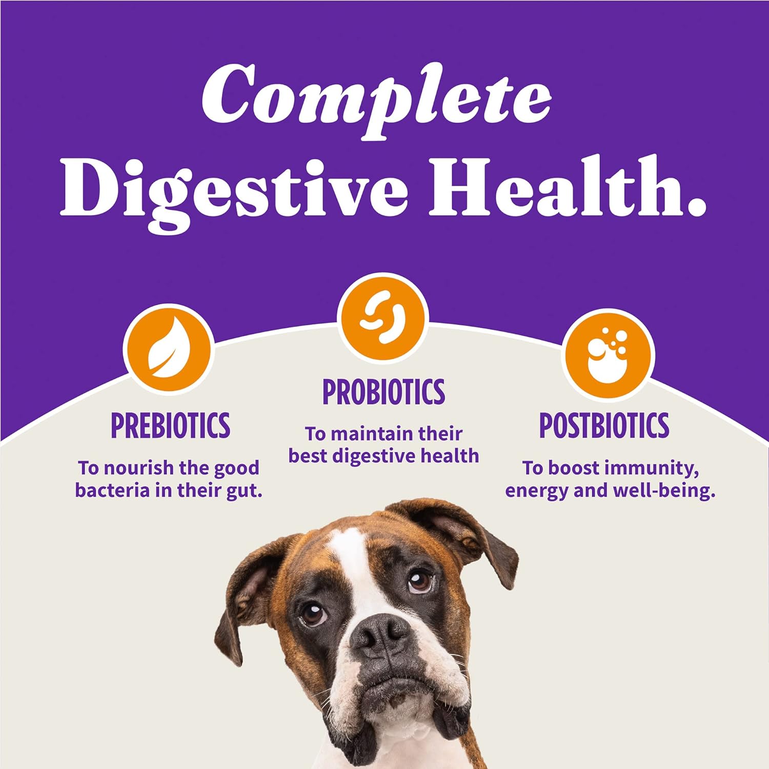 Halo Holistic Dog Food, Complete Digestive Health Cage-Free Chicken and Brown Rice Recipe, Dry Dog Food Bag, Small Breed Formula, 3.5-lb Bag : Pet Supplies