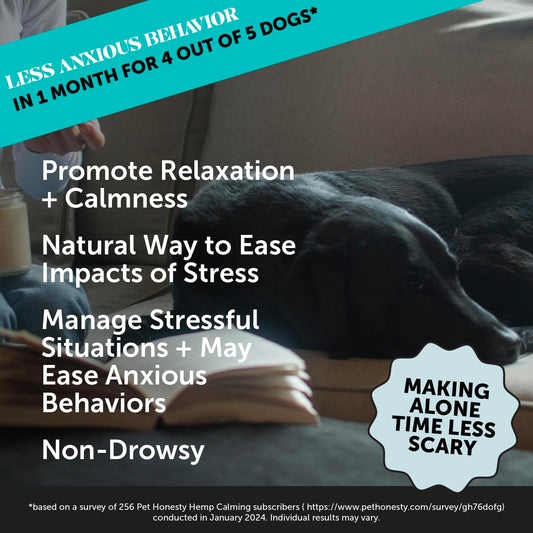Pet Honesty Hemp Calming Chews For Dogs - Dog Anxiety Relief, Dog Calming Treats With Hemp + Valerian Root, Melatonin For Dogs - Helps Aid With Thunder, Fireworks, Chewing & Barking (Chicken 180 Ct)