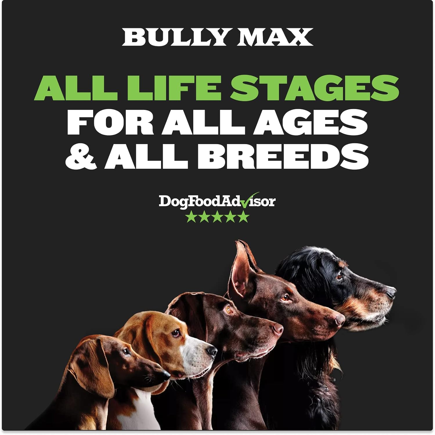 Bully Max 25/11 High Protein Dry Dog Food & 9-in-1 Dog Soft Chews for Immunity, Brain, Heart, Joint & Digestive Health - Puppy, Adult, Small & Large Breed Dog Supplement - 15 lbs Food & 75 Tasty Chews : Pet Supplies
