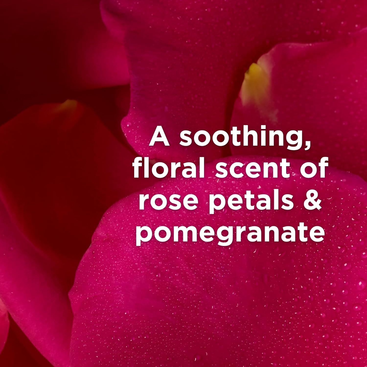 Andalou Naturals Body Butter, Kukui Cocoa Nourishing Body Cream, 8 Oz, Shea Butter, Cocoa Butter & Argan Oil For Dry Skin, Vegan : Beauty & Personal Care