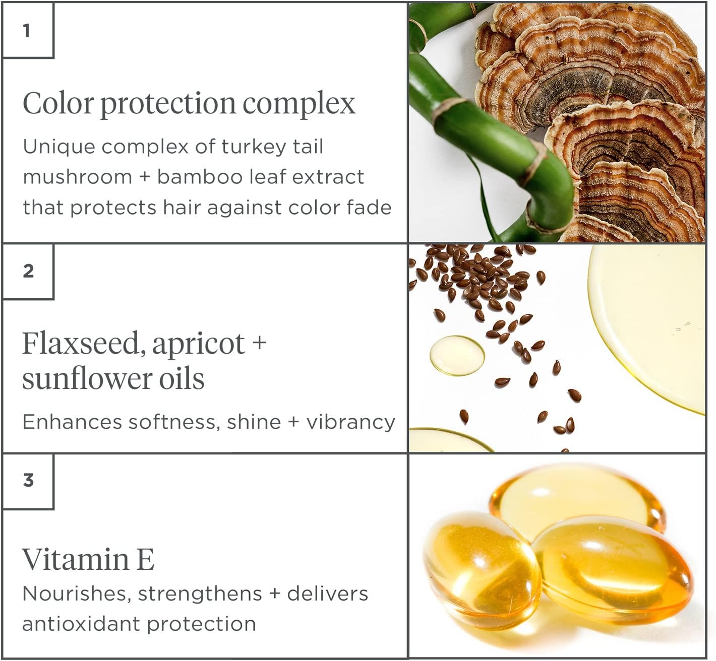 Colour Protect Primer Styling Cream - Briogeo Color Me Brilliant Mushroom + Bamboo - Heat Protection Cream for Coloured Hair - Protects Vibrant Hair Color From Heat - Vegan - Phalate & Paraben-Free : Amazon.co.uk: Beauty