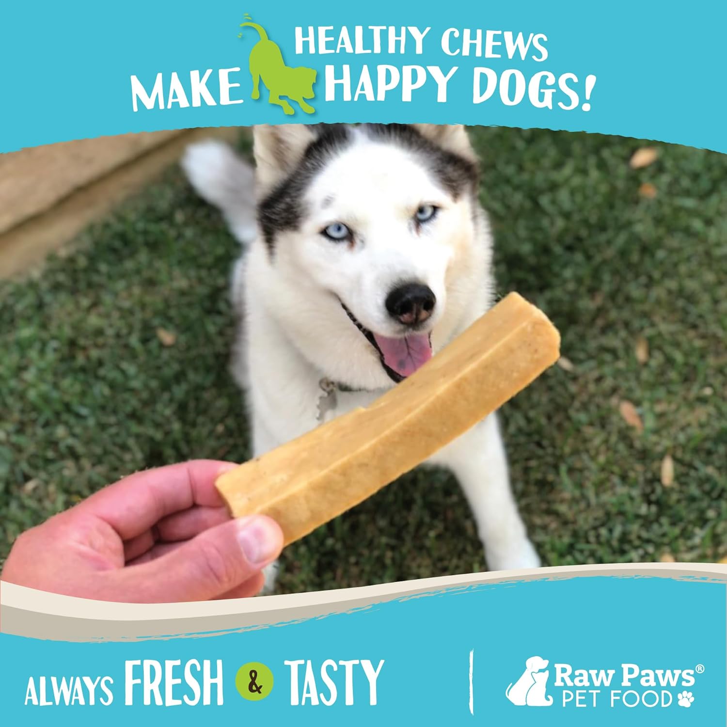 Raw Paws Yak Cheese Himalayan Yak Chews for Large Dogs, Large (3-Count) - Himalayan Cheese for Large Dogs - Yak Bones for Dogs - Yak Milk Bones for Dogs - Dog Cheese Chews Himalayan - Dog Yak Chews : Pet Supplies