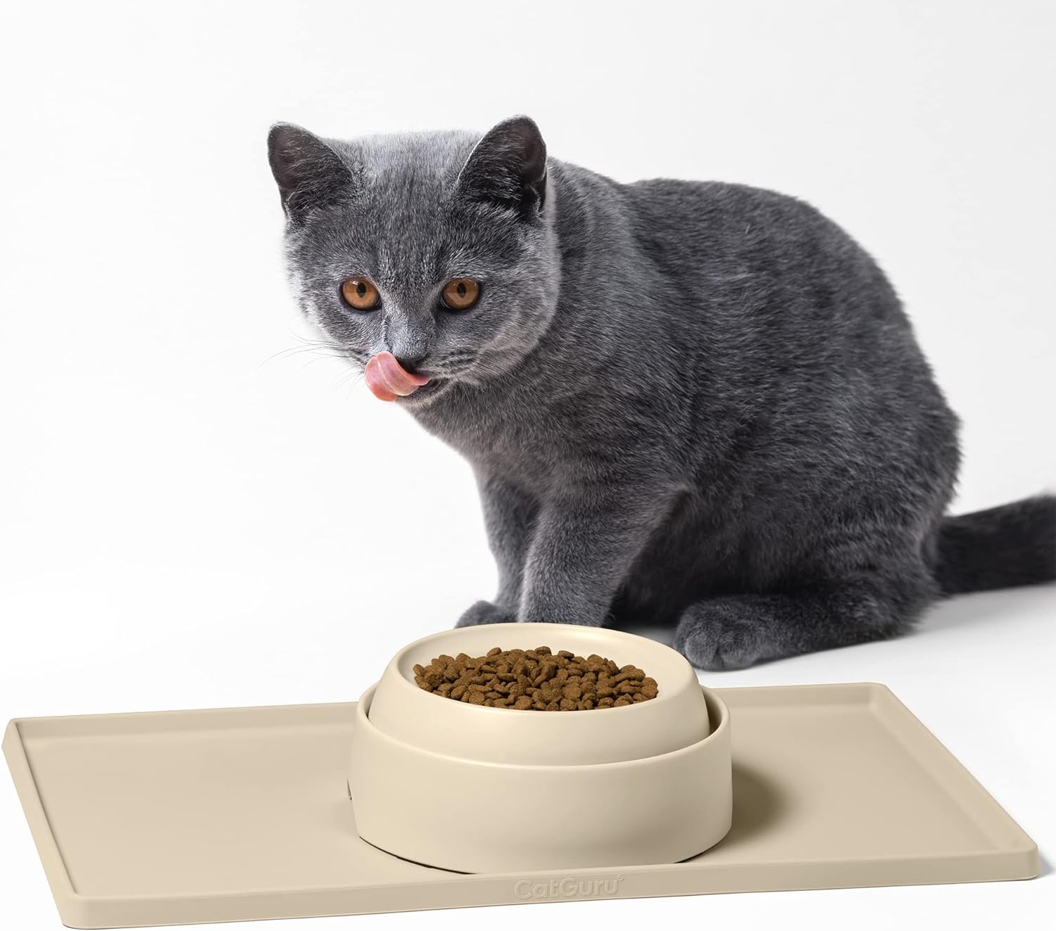 CatGuru Food Table (Sand) : Pet Supplies