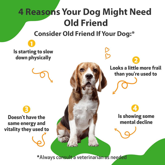 Pet Wellbeing Old Friend For Senior Dogs - Vet-Formulated - Aging Immune System & Joint Mobility Support In Older Canines - Natural Herbal Supplement 2 Oz (59 Ml)