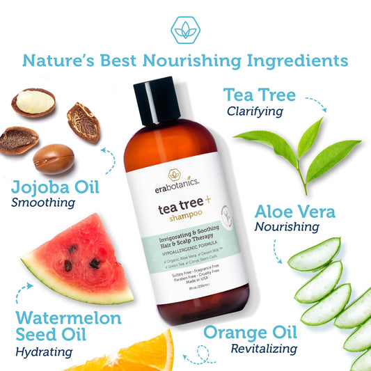 Era Organics Advanced Tea Tree Shampoo For Men And Women - Balancing Sulfate Free Tea Tree Shampoo For Oily Hair - Rejuvenating Plant Stem Cell Scalp Shampoo